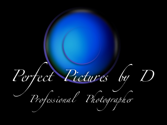 Perfect Pictures by D :: Professional Photographer :: Denise Durfee